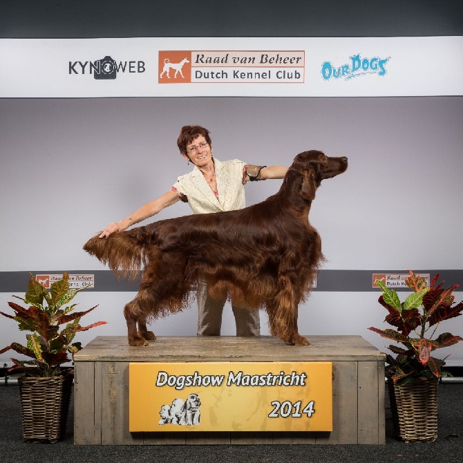 Trawricka - Superbe chiots attendus pour le 9 Mai 2015