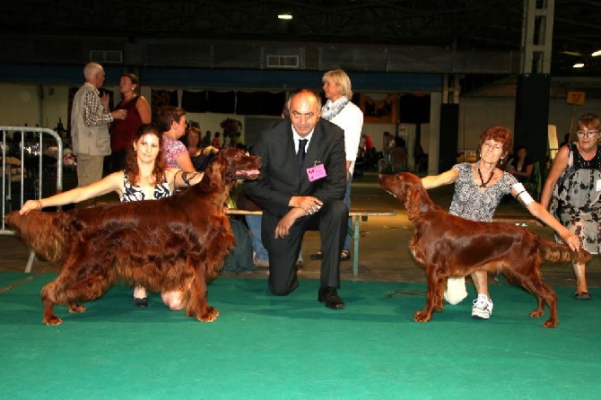 Trawricka - Multi Champ High Jinks gagne encore!